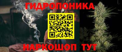jwh Новодвинск