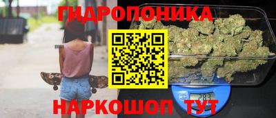 таблы Новозыбков
