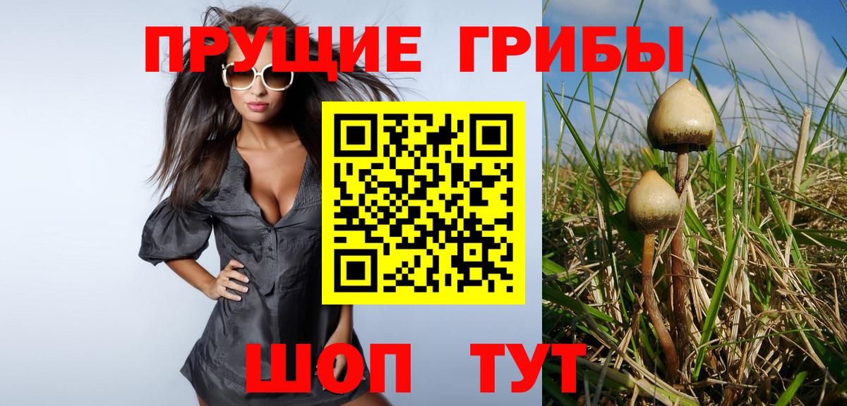 Ревда  Галлюциногенные грибы Psilocybine cubensis  Вход с VPN  Псилоцибиновые грибы GOLDEN TEACHER 